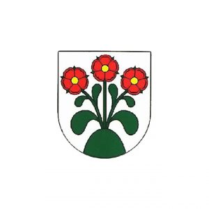 Községi hivatal, Kamocsa