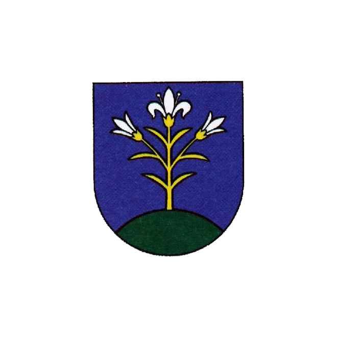 Községi hivatal, Tótgyarmat