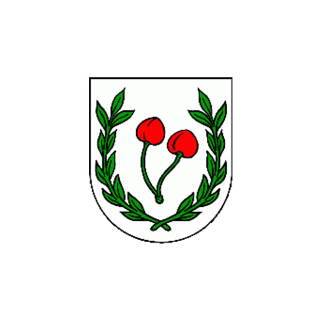 Községi hivatal, Visnyó