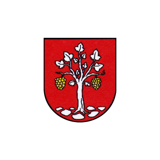 Községi hivatal, Nagykövesd