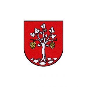 Községi hivatal, Nagykövesd