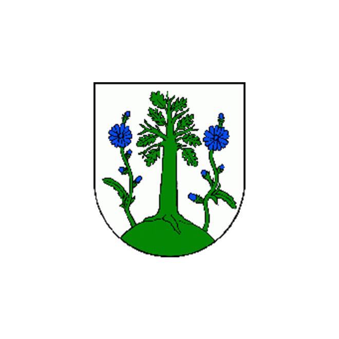 Községi hivatal, Csákányháza
