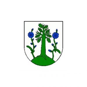 Községi hivatal, Csákányháza