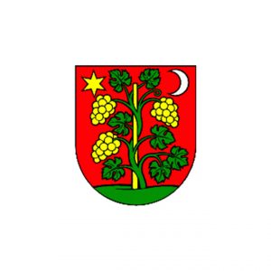 Községi hivatal, Hanva