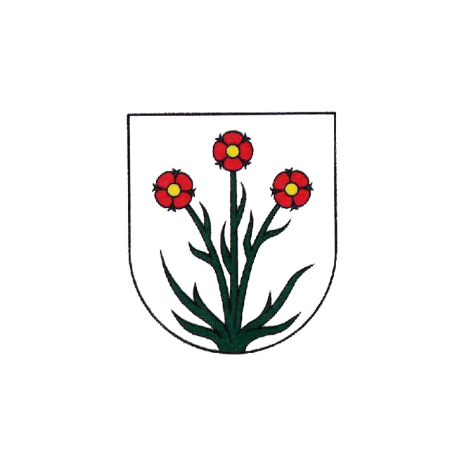 Községi hivatal, Szolnocska