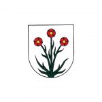 Községi hivatal, Szolnocska