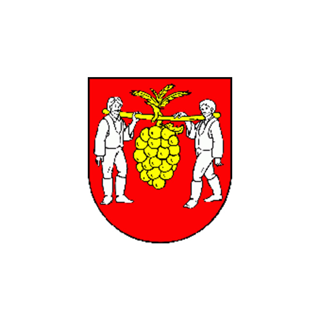 Községi hivatal, Szőlőske