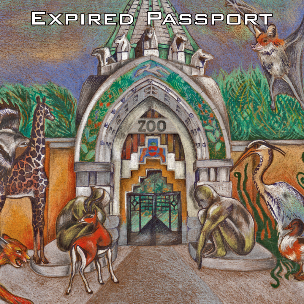 Expired Passport