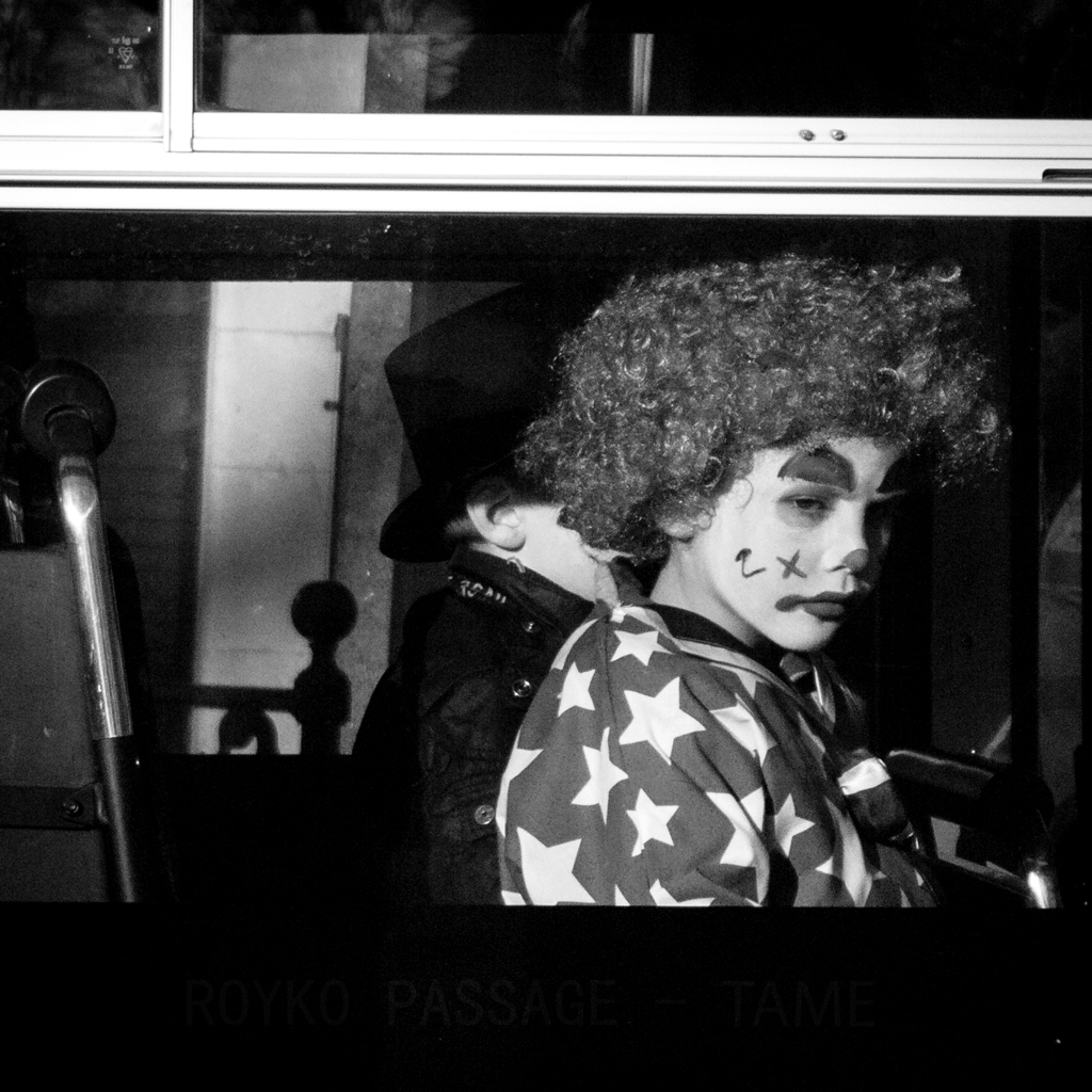 Royko Passage