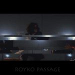 Royko Passage