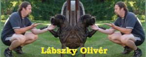 Lábszky Olivér