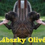 Lábszky Olivér