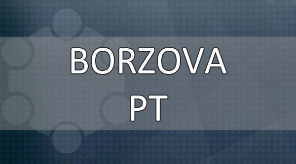 Borzova Polgári Társulás