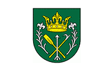 Községi hivatal, Nyárasd