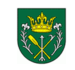 Községi hivatal, Nyárasd