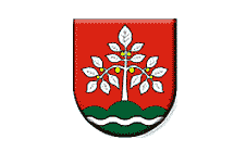 Községi hivatal, Diósförgepatony
