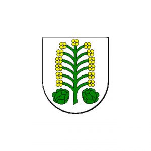 Községi hivatal, Negyed